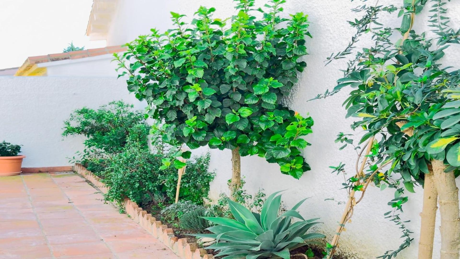 Vivienda Con Encanto Goya Nº4 Benalmádena Zewnętrze zdjęcie